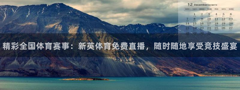 飞速直播在线观看