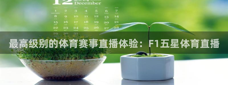 飞速直播足球