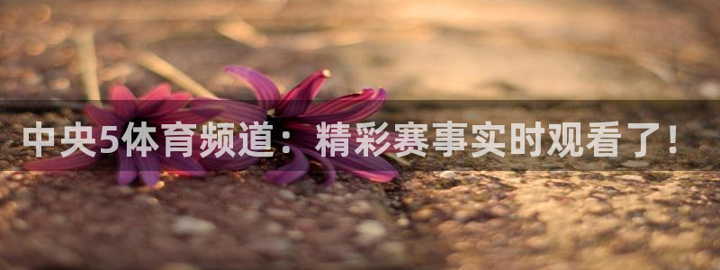 体育新闻